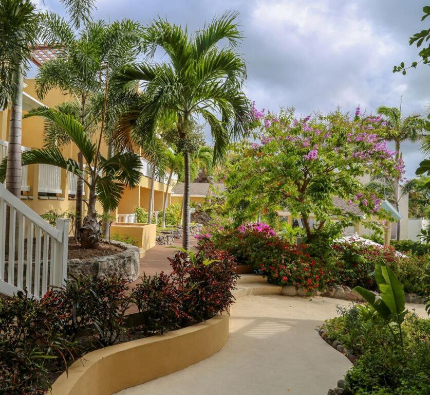 Ocean Terrace Inn Hotel Basseterre Dış mekan fotoğraf